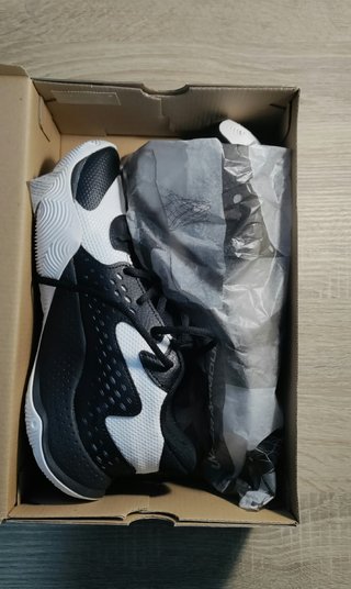 Zapatillas Baloncesto Under Armour Jet 23