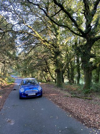 MINI Cooper S 170cv R53 año 2005 Etiqueta C