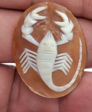Camafeo en concha con signo del Zodiaco Escorpio