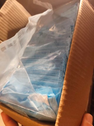 50 Empapadores para perros