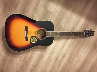 Chitarra Acustica Washburn D10STS