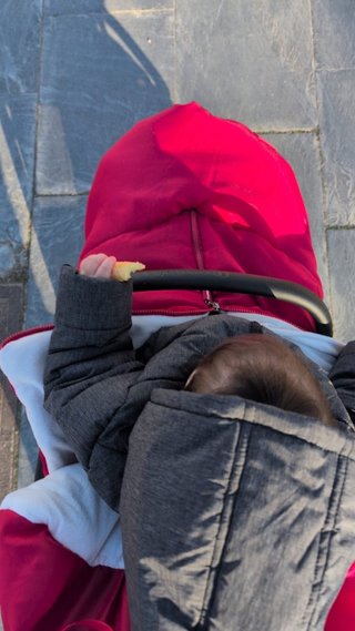 Silla de paseo, carrito