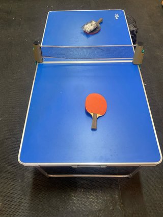 Mesa de Ping-Pong Mini