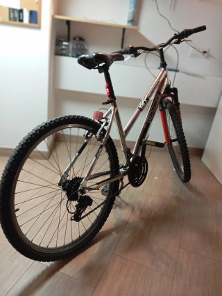 Bicicleta de Montaña Topbike Aluminio