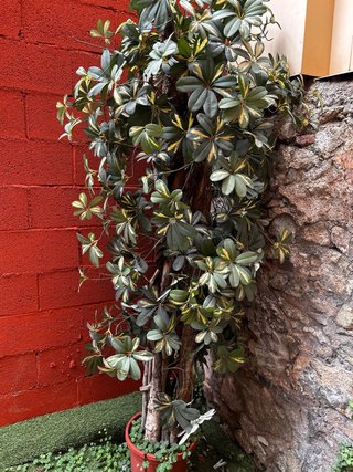 Planta Artificial Decorativa