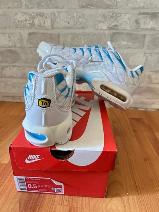 Nike Air Max Plus Tn Blancas y Azules