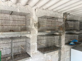 Lote de jaulas para pájaros