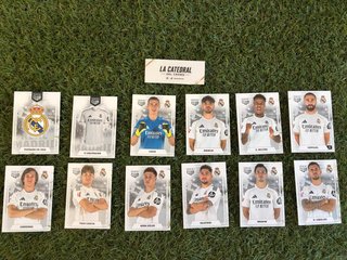 Lote 12 cromos Panini Club Real Madrid