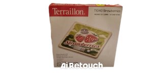 Báscula de cocina Terraillon T1040