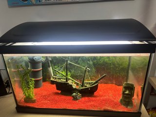 Acuario 90L con Filtro EHEIM y LED
