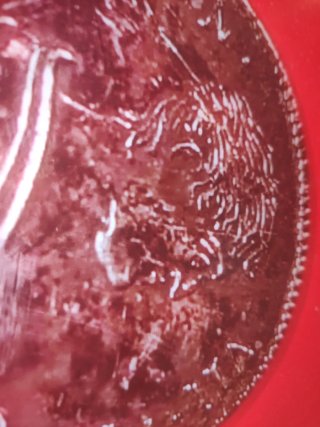 Moneda de plata antigua año 1800