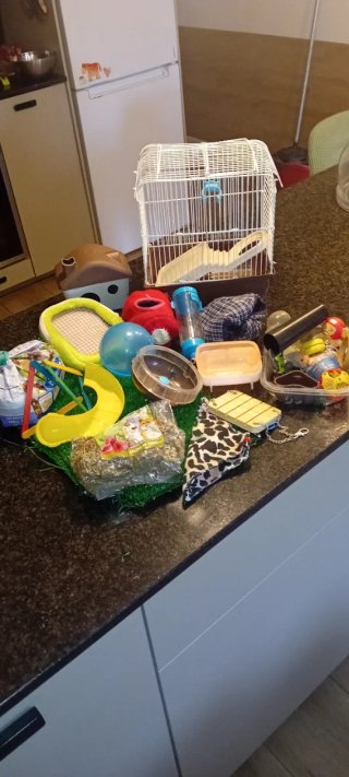 Jaula para hámster y parque de juegos