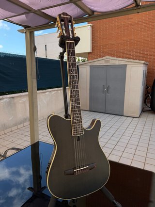 Guitarra Ibanez TOD10N