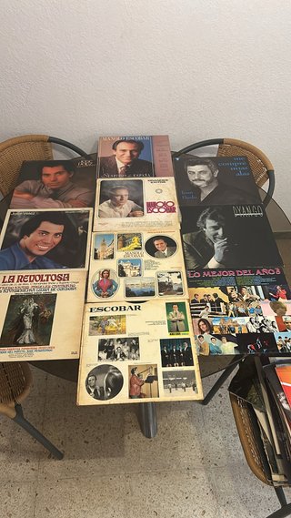 Lote de 10 Discos de Vinilo LP