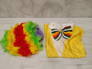 Chaleco y peluca de payaso