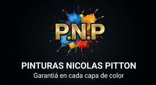 Pintor Profesional Vigo y Zona