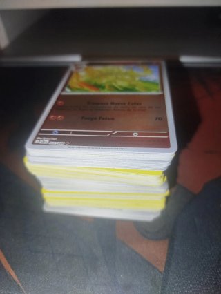 Cartas Pokémon