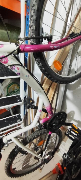 Bicicleta Infantil 20 Pulgadas