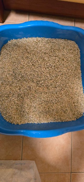 Sustrato Bali Sand 2-3 mm