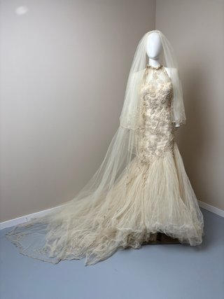 Vestido de Novia con Velo