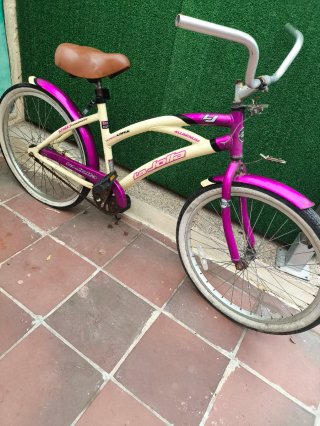 Bicicleta anericana Aluminio mediana