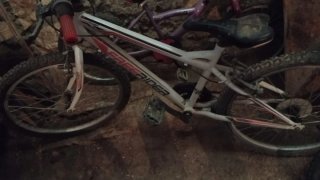 Bicicleta Infantil Free Rider e bicicletta per bambina