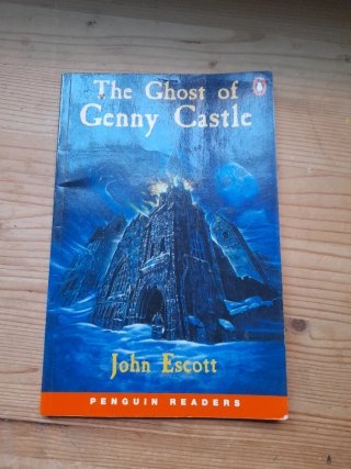 The ghost of Genny Castle