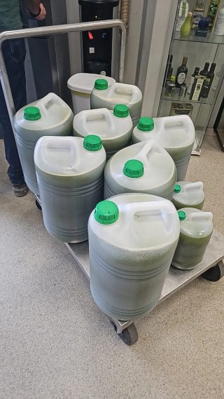 Aceite nuevo de está año 100% natural