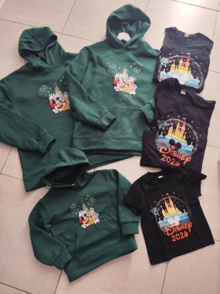 Lote Sudaderas y Camisetas Disney