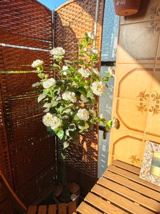 Planta Artificial con Flores Blancas