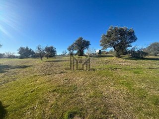 Solar en venta en Centro en Cáceres