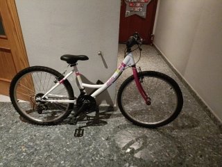 Bicicleta de Niña Denbike