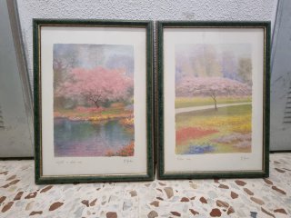 Set de 2 Cuadros Paisajes