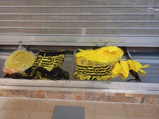 Disfraz de Abeja con Accesorios