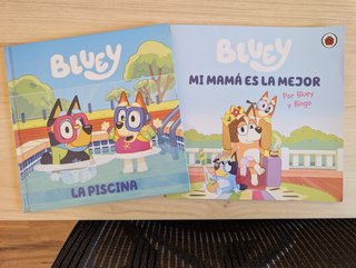 Lote 2 libros Bluey – Perfecto estado