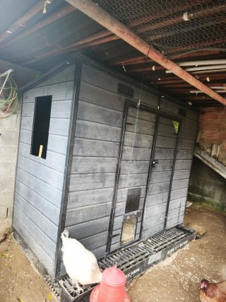 Caseta de resina para gallinas