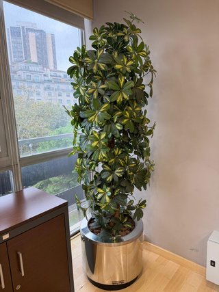 Planta Artificial Schefflera con macetero metálico