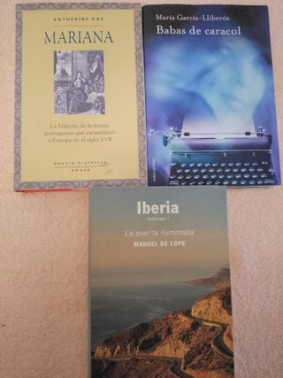 LOTE (VI) DE 3 LIBROS Y NOVELAS