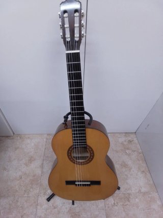 Guitarra Clásica Encore DRC 50