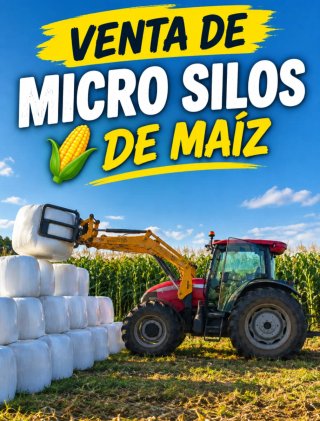 Micro Silos de Maíz