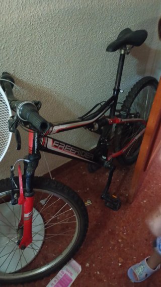 Bicicleta de Montaña Freerider