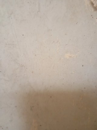 Neumáticos nuevos