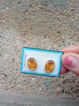 Pendientes de Plata de Ley
