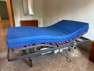 Cama Articulada/geriátrica Eléctrica y Elevable
