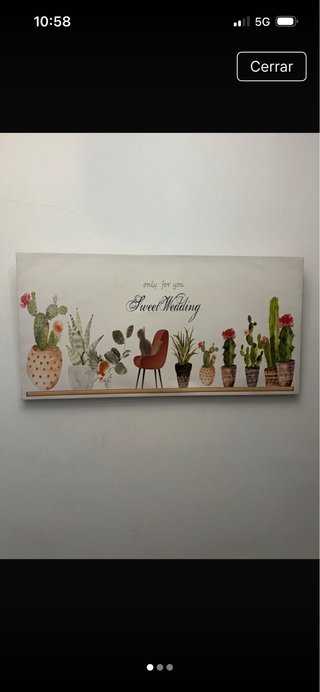 Cuadro Decorativo con Ilustración de Cactus