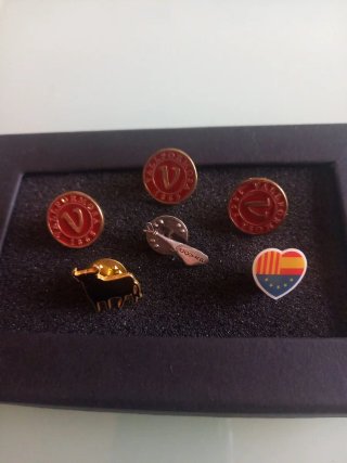 Lote de 6 Pins de Colección Vintage