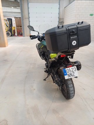 Bebelli 702