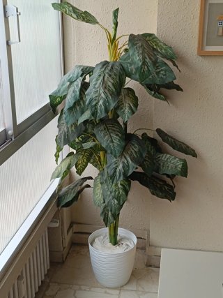 Planta Artificial Dieffenbachia Grande (150cm)