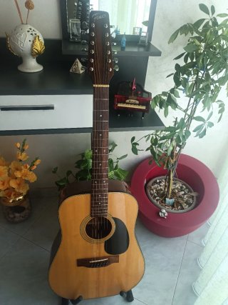 Chitarra Fenix D-12M,by Young Chang,1991