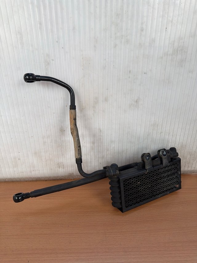 Radiador de Aceite Royal Enfield Himalayan 411 20
